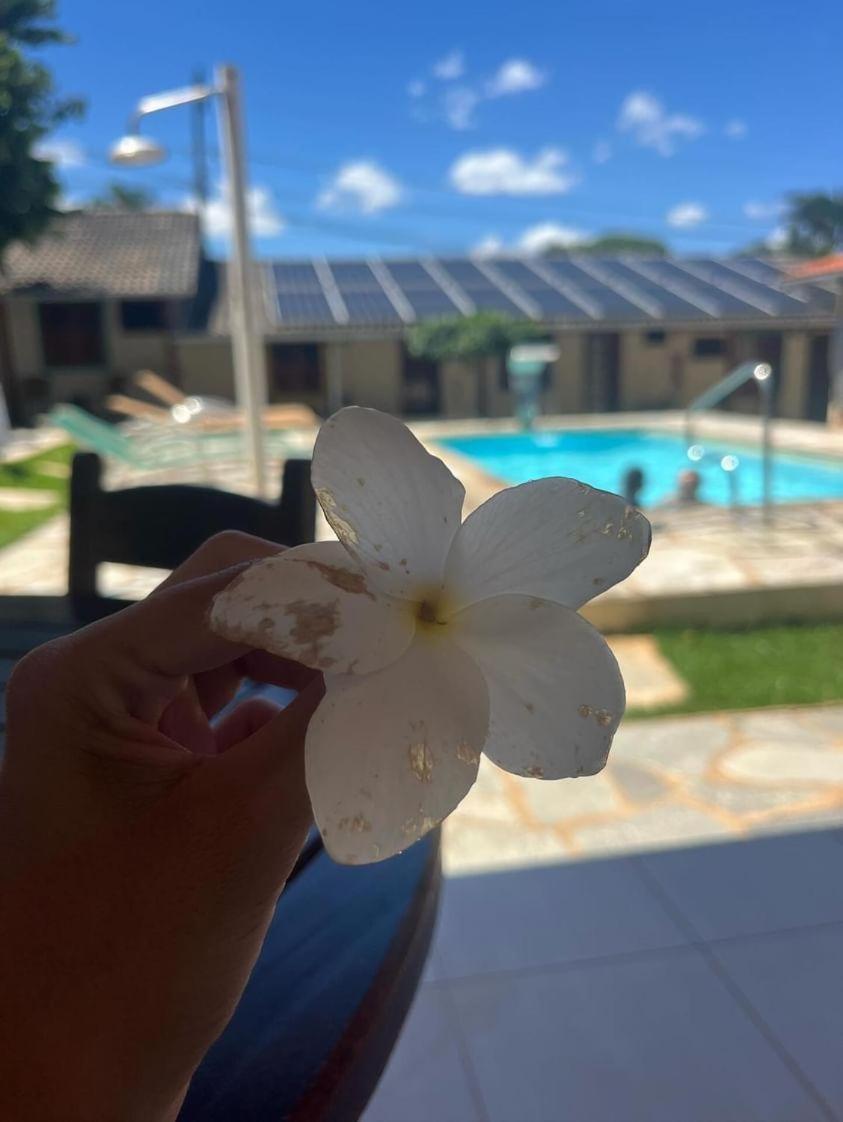 Brisa Da Serra Hotel Pousada Pirenópolis Eksteriør bilde